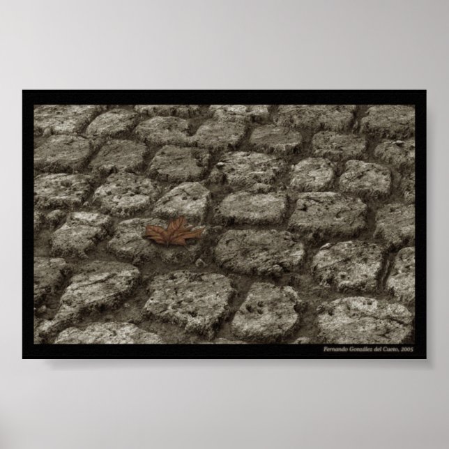 Svetsade-in Poster (Framsidan)