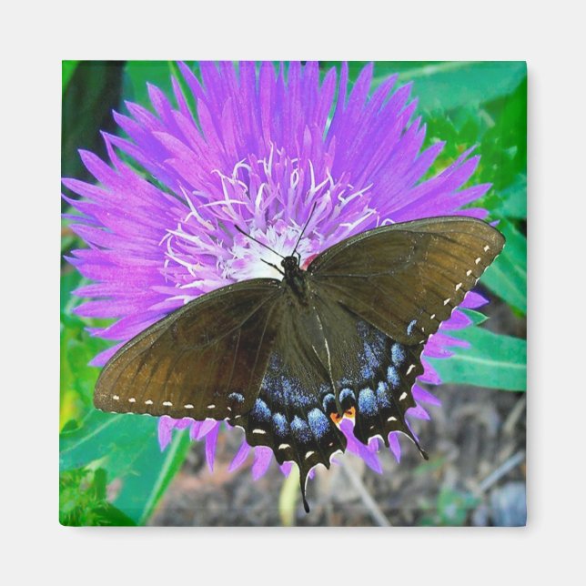 Svetsfjäril, Lila Pixie Flower Magnet (Framsidan)