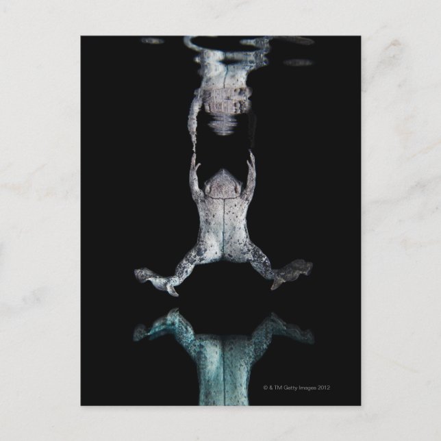 Svetsgroda Vykort (Framsida)