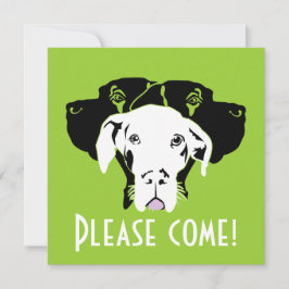 Svettig Grand Danois-ansikte | Doggenhaus Inbjudningar