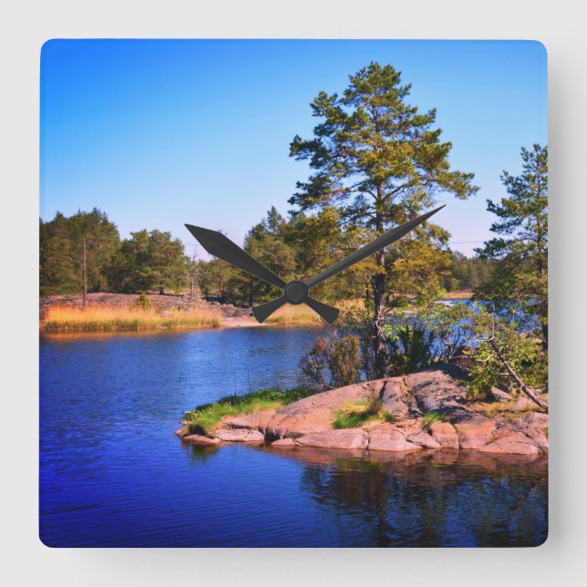 Svettlandskapsvål, foto fyrkantig klocka (Framsida)