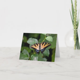 Svettsmusslare, blanka notecard. tack kort