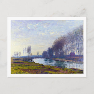 Svinets lilla Arm i Argentina Vykort
