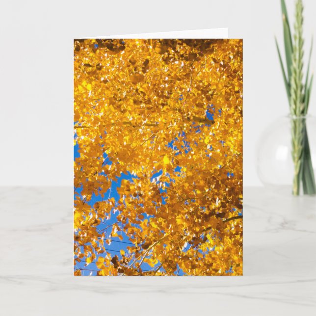 SW Struktur 4 Kort (Framsida)