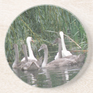 Swabs och Cygnet Underlägg Sandsten