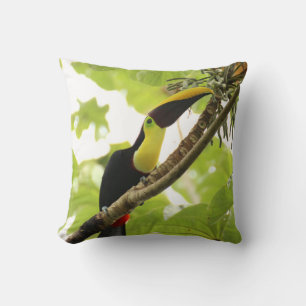 Swainson Toucan Exotic Bird Kudde