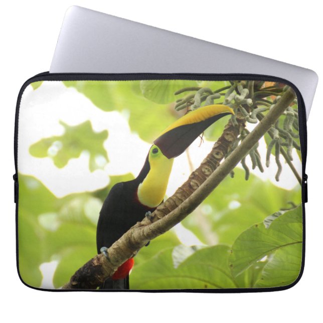 Swainson Toucan Exotic Bird Laptop Fodral (Framsidan)