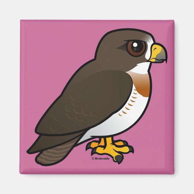 Swainsons Hawk Magnet (Framsidan)