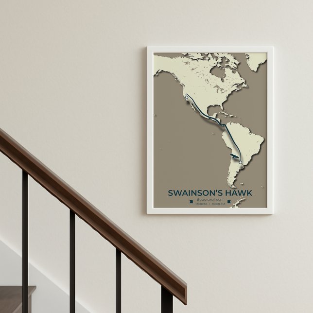 Swainsons Hawk Migration Karta - Minimalistisk Vin Poster (Skapare uppladdad)