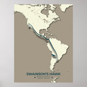 Swainsons Hawk Migration Karta - Minimalistisk Vin Poster