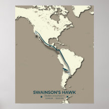 Swainsons Hawk Migration Karta - Minimalistisk Vin