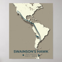 Swainsons Hawk Migration Karta - Minimalistisk Vin