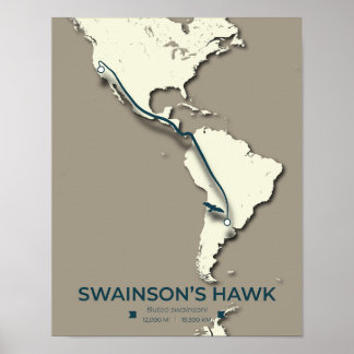 Swainsons Hawk Migration Karta - Minimalistisk Vin Poster