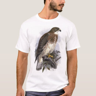 Swainsons hök som är ljus arrangerar gradvis, de t shirt