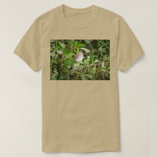 Swainsons Thush T Shirt (Design framsida)