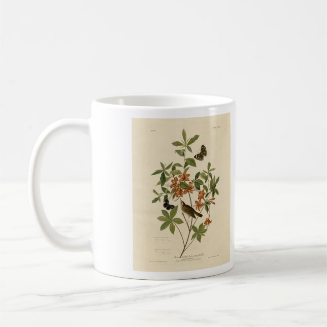 Swainson's Warbler från Audubon's Birds of America Kaffemugg (Vänster)