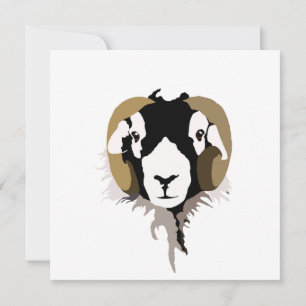 Swaledalefår kort