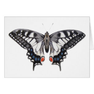 Swallowtail 2012 hälsningskort