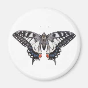 Swallowtail 2012 magnet