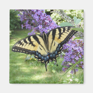 Swallowtail 94 ~-magnet magnet