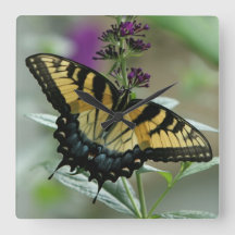 Swallowtail Butterfly Clock