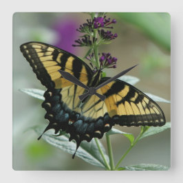 Swallowtail Butterfly Clock Fyrkantig Klocka