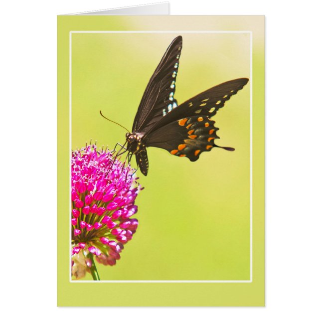Swallowtail Butterfly Hälsningskort (Framsidan)