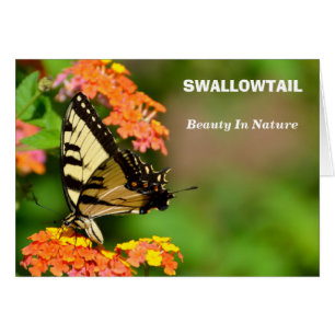 Swallowtail Butterfly Hälsningskort