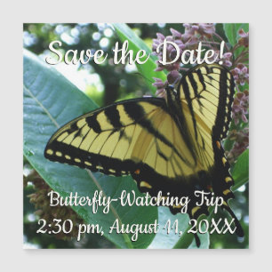 Swallowtail Butterfly I på Milkweed i Shenandoah