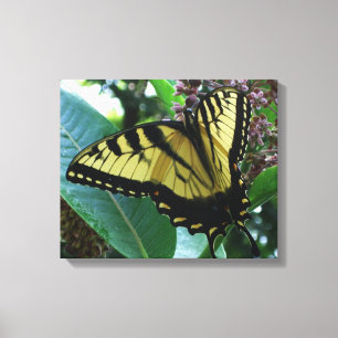 Swallowtail Butterfly I på Milkweed i Shenandoah Canvastryck