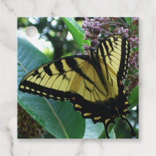 Swallowtail Butterfly I på Milkweed i Shenandoah Gåvor Etiketter