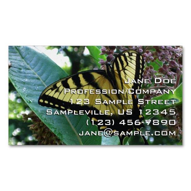 Swallowtail Butterfly I på Milkweed i Shenandoah Magnetiska Visitkort (Framsida)