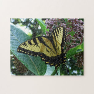Swallowtail Butterfly I på Milkweed i Shenandoah Pussel