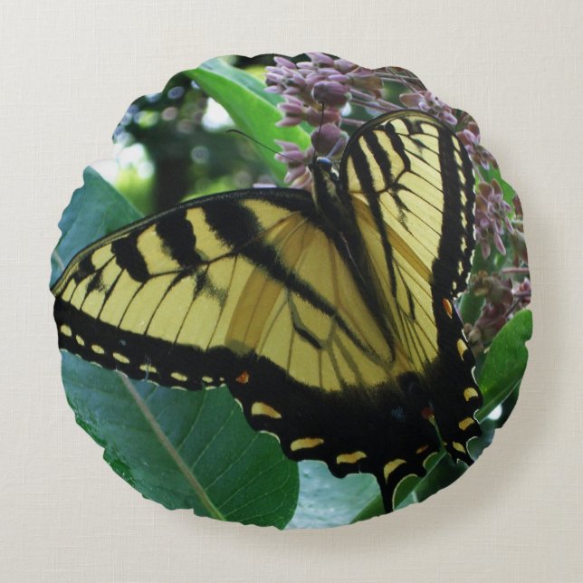 Swallowtail Butterfly I på Milkweed i Shenandoah Rund Kudde (Framsidan)
