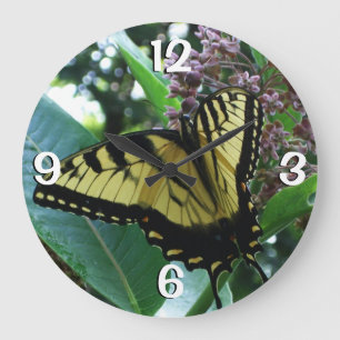 Swallowtail Butterfly I på Milkweed i Shenandoah Stor Klocka