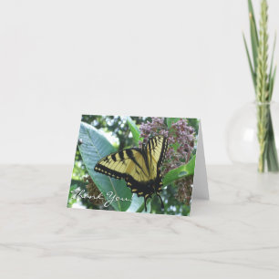 Swallowtail Butterfly I på Milkweed i Shenandoah Tack Kort