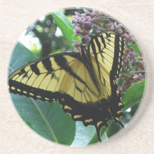 Swallowtail Butterfly I på Milkweed i Shenandoah Underlägg