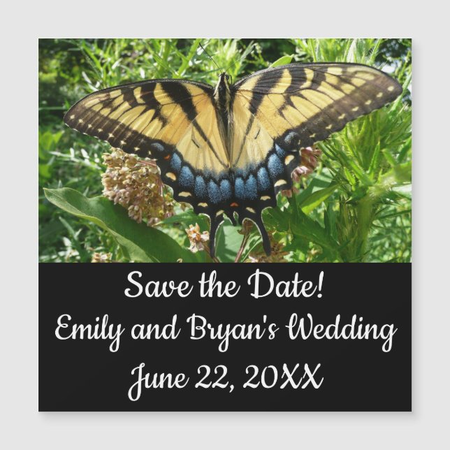 Swallowtail Butterfly II at Shenandoah (Framsida)