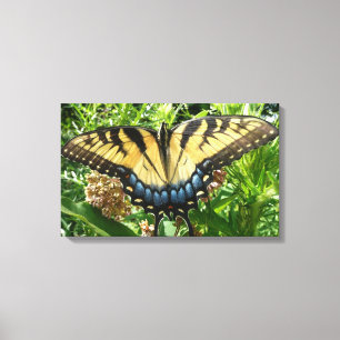 Swallowtail Butterfly II i Shenandoah Canvastryck