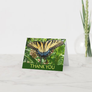 Swallowtail Butterfly II i Shenandoah Tack Kort