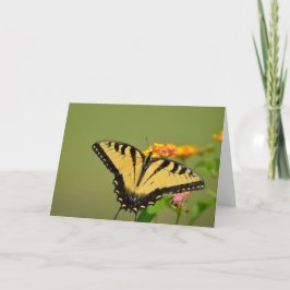 Swallowtail Butterfly Notecard Kort