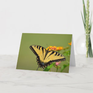 Swallowtail Butterfly Notecard Kort