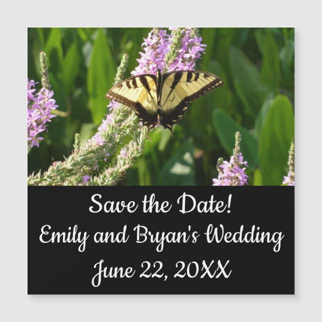 Swallowtail Butterfly på Lila Wildblommor (Framsida)