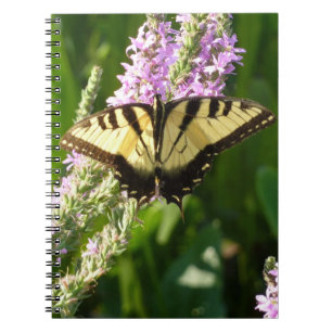 Swallowtail Butterfly på Lila Wildblommor Anteckningsbok
