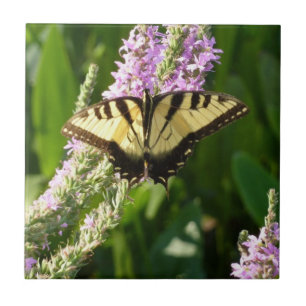 Swallowtail Butterfly på Lila Wildblommor Kakelplatta