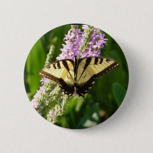 Swallowtail Butterfly på Lila Wildblommor Knapp