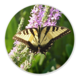 Swallowtail Butterfly på Lila Wildblommor Knopp