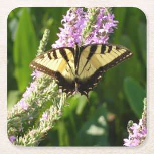 Swallowtail Butterfly på Lila Wildblommor Underlägg Papper Kvadrat