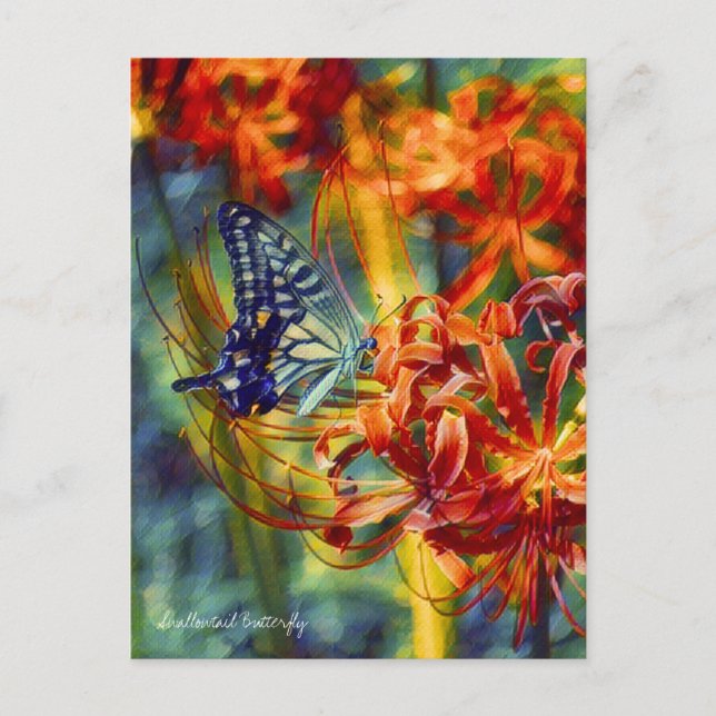 Swallowtail Butterfly：Postcard Vykort (Framsida)