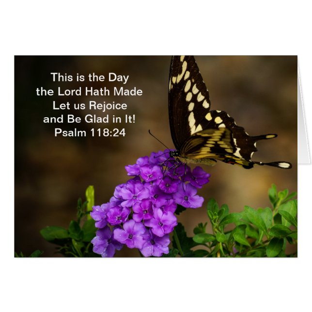 Swallowtail fjäril hälsningskort (Framsidan Horizontal)